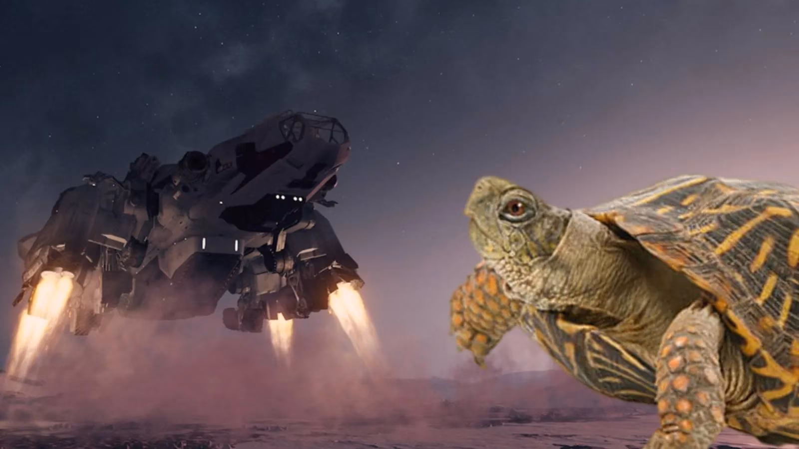 starfield-player-s-turtle-shaped-ship-delights-the-community-with-creative-simplicity-image-0